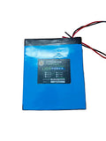 24V 40Ah Lithium-Ion Rechargeable Battery Pack