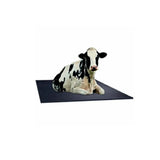 Cow Mats for Dairy Animals Premium Quality 7.15 x 4.15 feet