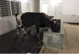 Cow Mats for Dairy Animals Premium Quality 7.15 x 4.15 feet