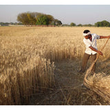 Scythe Manual Brush Cutter